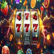 kuvip bet