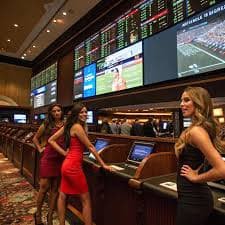 kuvip bet