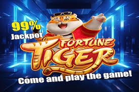 kuvip bet