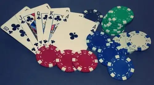 kuvip bet